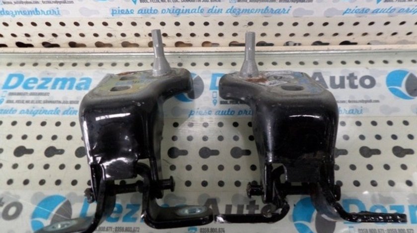 Set balamale stanga fata Ford Tourneo Connect, 2002-In prezent