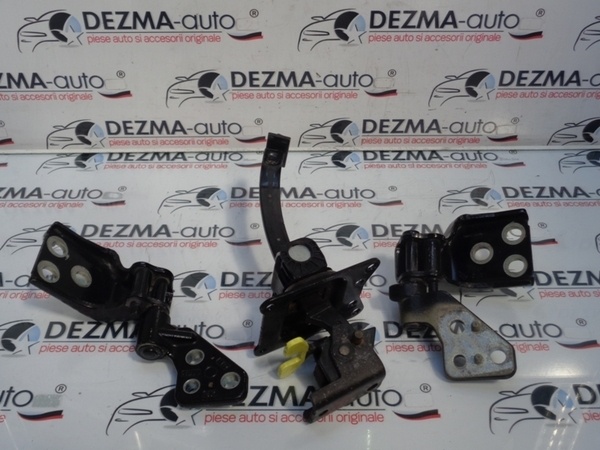 Set balamale stanga spate, Peugeot Partner Tepee