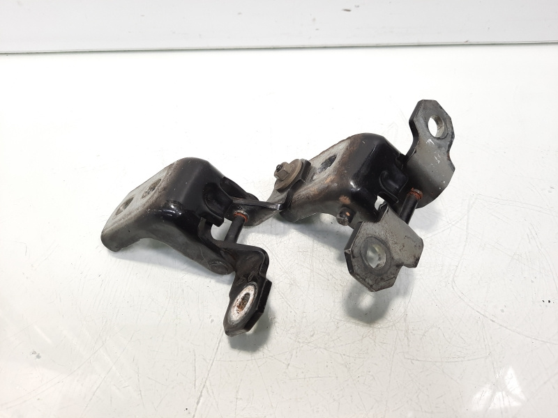 Set balamale usa dreapta fata, Renault Laguna 3 (id:555056)