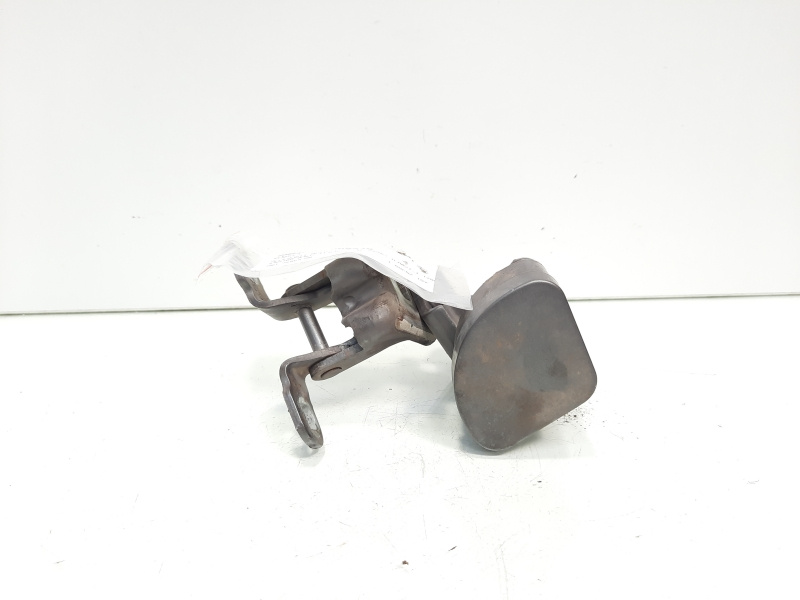 Set balamale usa dreapta spate, Renault Megane 2 Sedan (id:609349)