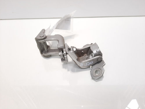 Set balamale usa dreapta spate, Renault Scenic 3 (id:598313)