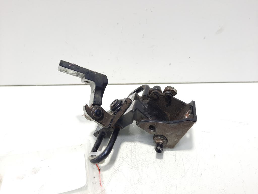 Set balamale usa stanga spate, Audi A6 (4F2, C6) (id:613168)