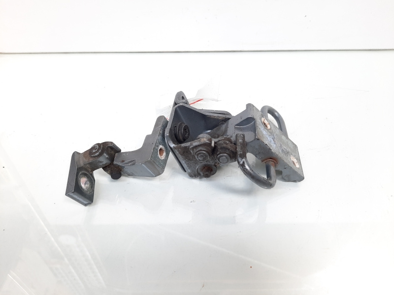 Set balamale usa stanga spate, Audi A6 Avant (4F5, C6) (id:608555)
