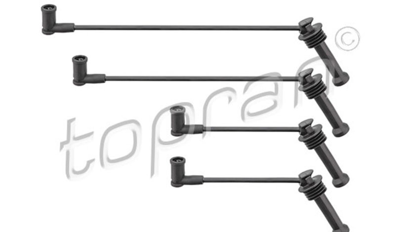 Set cablaj aprindere (302045 HAN) FORD