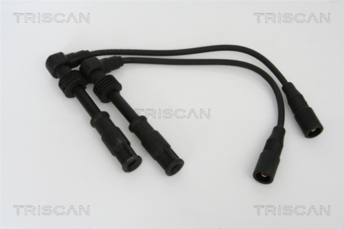 Set Cablaj Aprindere Triscan 8860 29006