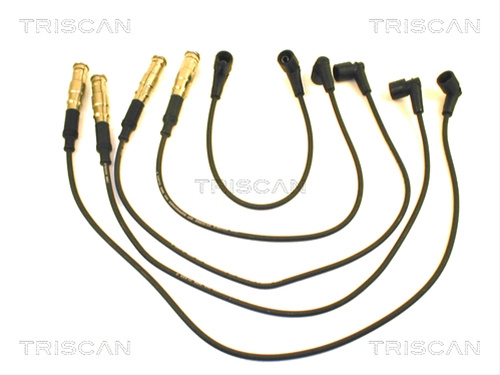 Set Cablaj Aprindere Triscan 8860 4110