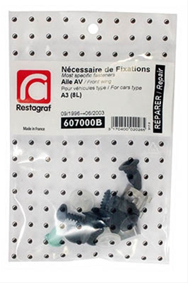 Set Cele Mai Uzuale Agrafe Montaj Aripa Fata A3 1996-2003 Restagraf Audi 607000B