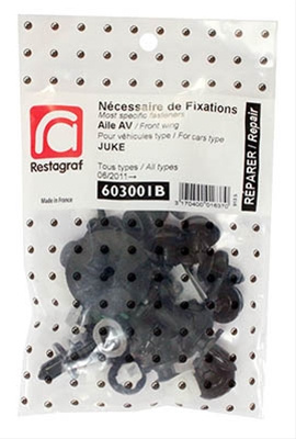 Set Cele Mai Uzuale Agrafe Montaj Aripa Fata Juke Restagraf Nissan 603001B