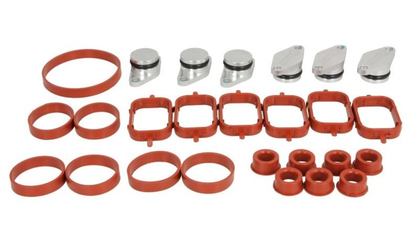 Set clapete turbionare, galerie admisie BMW 3 (E46) ENGITECH ENT320009