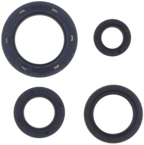 Set Complet Garnituri Motor Moto Athena Honda FES 250 1998-1999 P400210400055