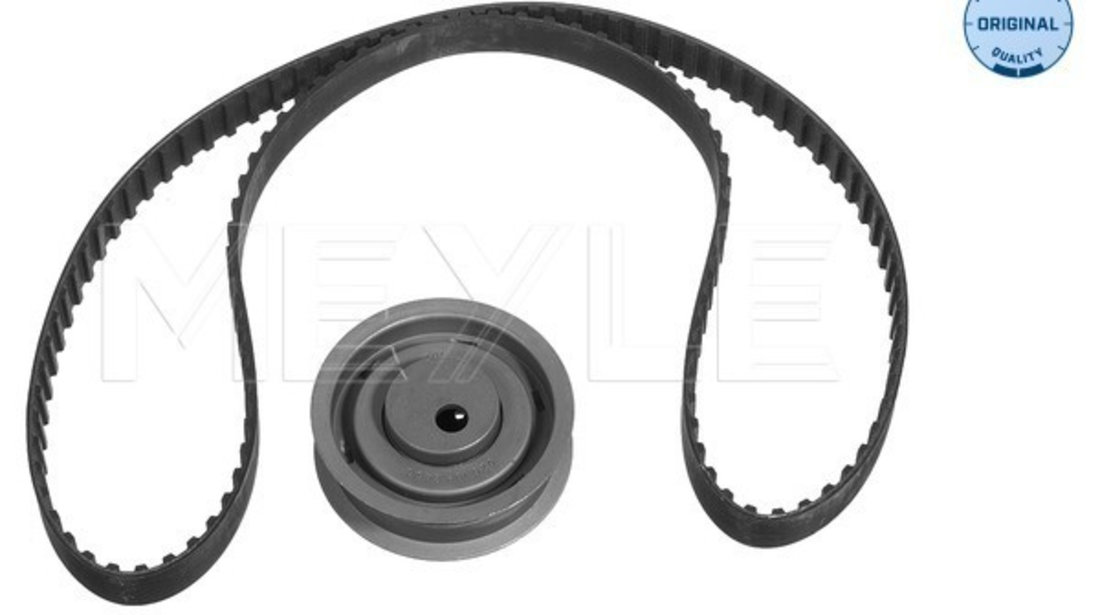 Set curea de distributie (1001099002S MEYLE) AUDI,SEAT,VW