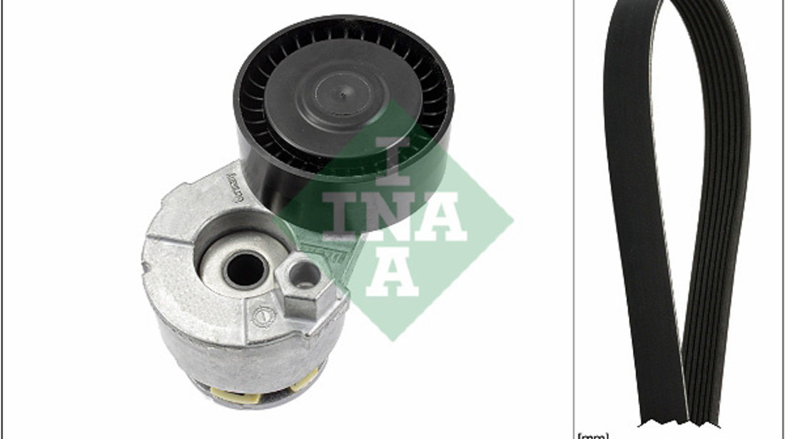 Set curea transmisie cu caneluri (529000910 INA) DACIA,MAHINDRA RENAULT,NISSAN,RENAULT