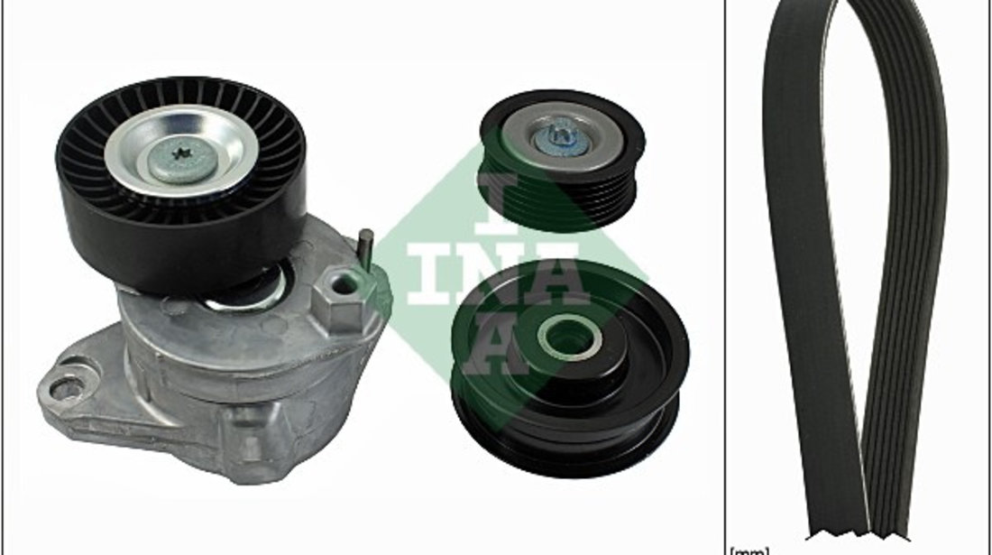 Set curea transmisie cu caneluri (529003410 INA) MERCEDES-BENZ