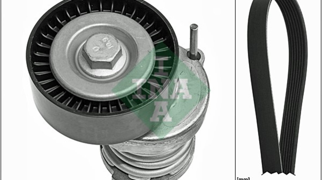 Set curea transmisie cu caneluri (529010310 INA) AUDI,SEAT,SKODA,VW