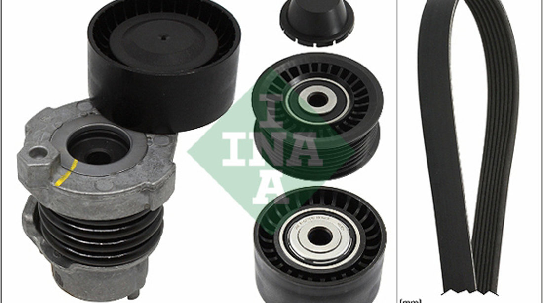 Set curea transmisie cu caneluri (529019410 INA) DACIA,NISSAN,RENAULT