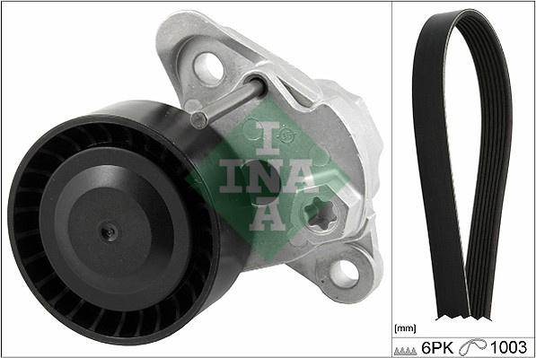 Set curea transmisie cu caneluri (529020810 INA) SEAT,SKODA,VW