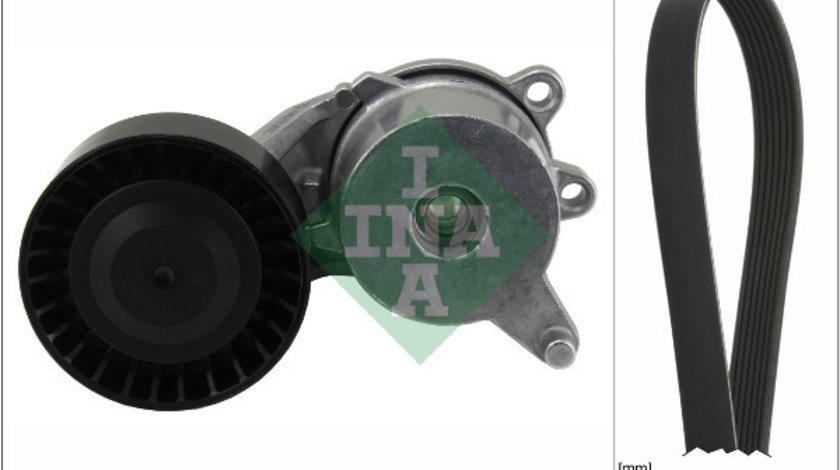 Set curea transmisie cu caneluri (529026210 INA) Citroen,PEUGEOT,TOYOTA