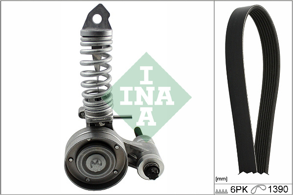 Set curea transmisie cu caneluri (529032510 INA) CHEVROLET,OPEL,VAUXHALL
