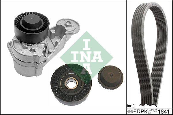 Set curea transmisie cu caneluri (529048010 INA) VOLVO