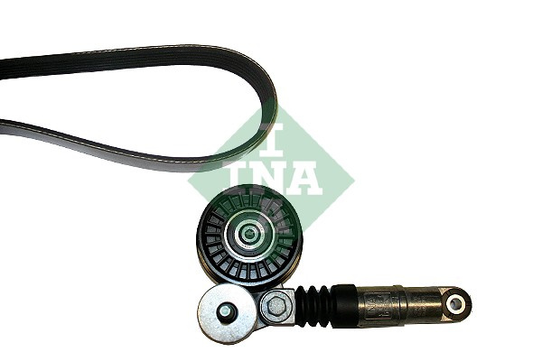 Set curea transmisie cu caneluri (530038310 INA) AUDI,SKODA,VW