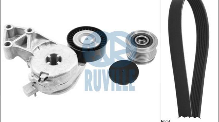 Set curea transmisie cu caneluri (5544480 EVR) AUDI,SEAT,SKODA,VW