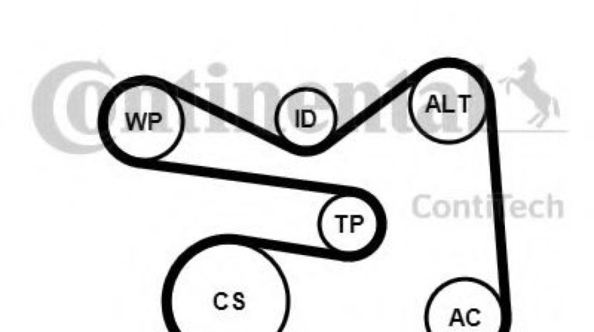 Set curea transmisie cu caneluri AUDI A1 (8X1, 8XK, 8XF) (2010 - 2016) CONTITECH 6PK1733K3 piesa NOUA