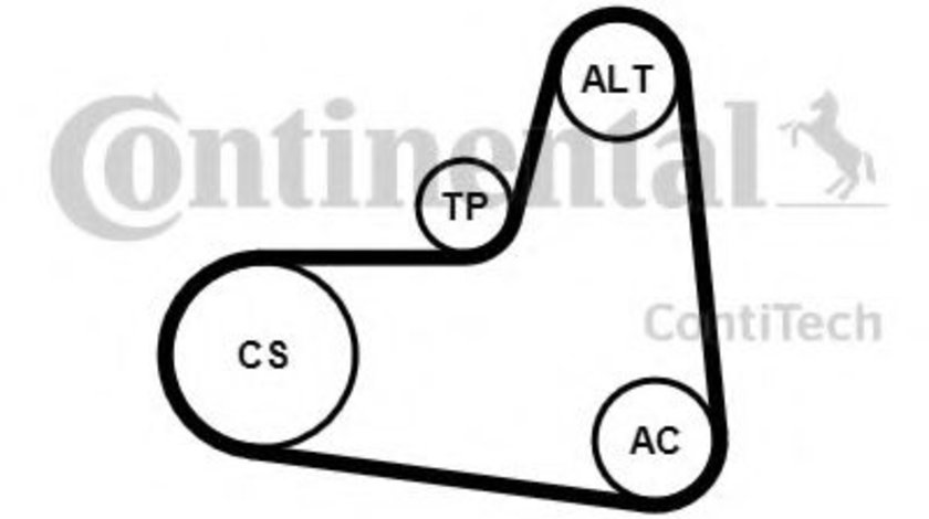 Set curea transmisie cu caneluri AUDI A2 (8Z0) (2000 - 2005) CONTITECH 6PK995K1 piesa NOUA