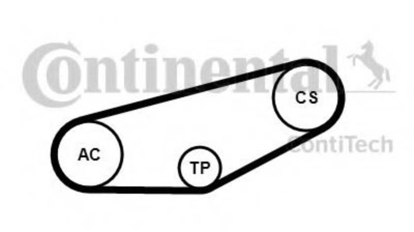 Set curea transmisie cu caneluri AUDI A4 (8D2, B5) (1994 - 2001) CONTITECH 4PK855K1 piesa NOUA