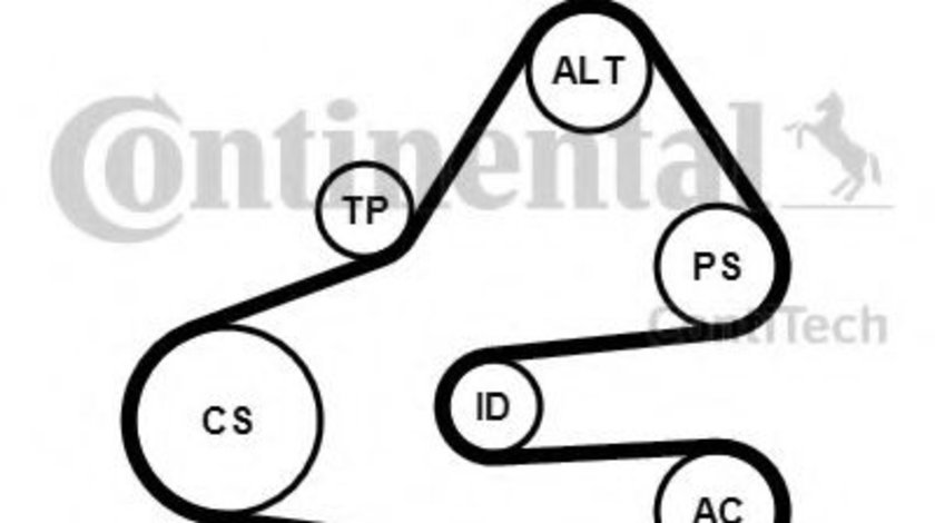Set curea transmisie cu caneluri AUDI A4 Avant (8ED, B7) (2004 - 2008) CONTITECH 6PK1613K1 piesa NOUA
