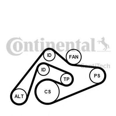 Set curea transmisie cu caneluri AUDI A4 Cabriolet (8H7, B6, 8HE, B7) (2002 - 2009) CONTITECH 6PK240...