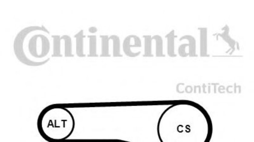 Set curea transmisie cu caneluri BMW Seria 3 Cupe (E36) (1992 - 1999) CONTITECH 4PK890K1 piesa NOUA