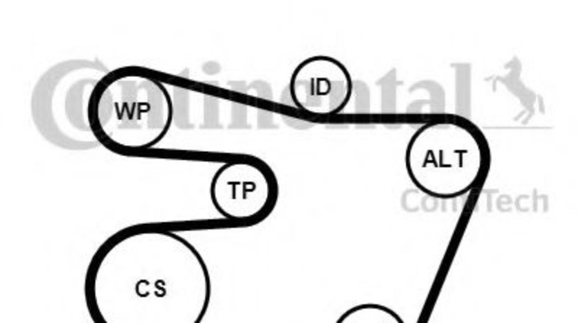 Set curea transmisie cu caneluri BMW Seria 3 (E46) (1998 - 2005) CONTITECH 6PK1538K1 piesa NOUA