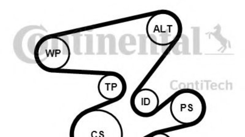 Set curea transmisie cu caneluri BMW Seria 3 (E46) (1998 - 2005) CONTITECH 6PK2080K1 piesa NOUA