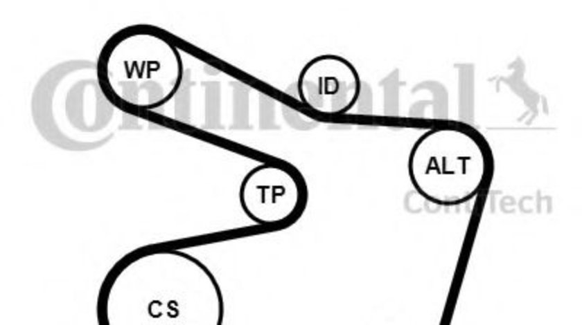 Set curea transmisie cu caneluri BMW Seria 3 (E46) (1998 - 2005) CONTITECH 6PK1538K2 piesa NOUA