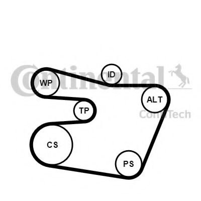 Set curea transmisie cu caneluri BMW Seria 3 Cabriolet (E46) (2000 - 2007) CONTITECH 6PK1538K1 piesa...