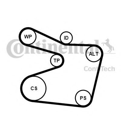 Set curea transmisie cu caneluri BMW Seria 3 Cabriolet (E36) (1993 - 1999) CONTITECH 6PK1555K1 piesa...