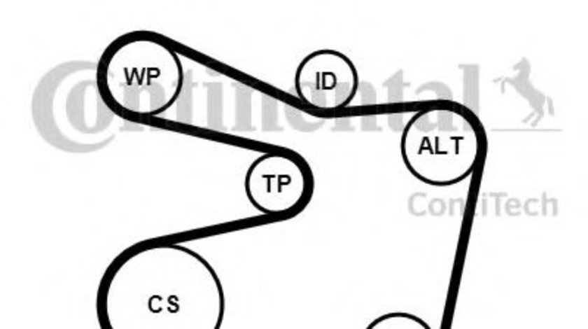 Set curea transmisie cu caneluri BMW Seria 5 (E39) (1995 - 2003) CONTITECH 6PK1555K2 piesa NOUA