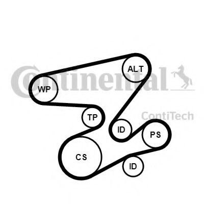 Set curea transmisie cu caneluri BMW Seria 6 (E63) (2004 - 2010) CONTITECH 6PK2080K1 piesa NOUA