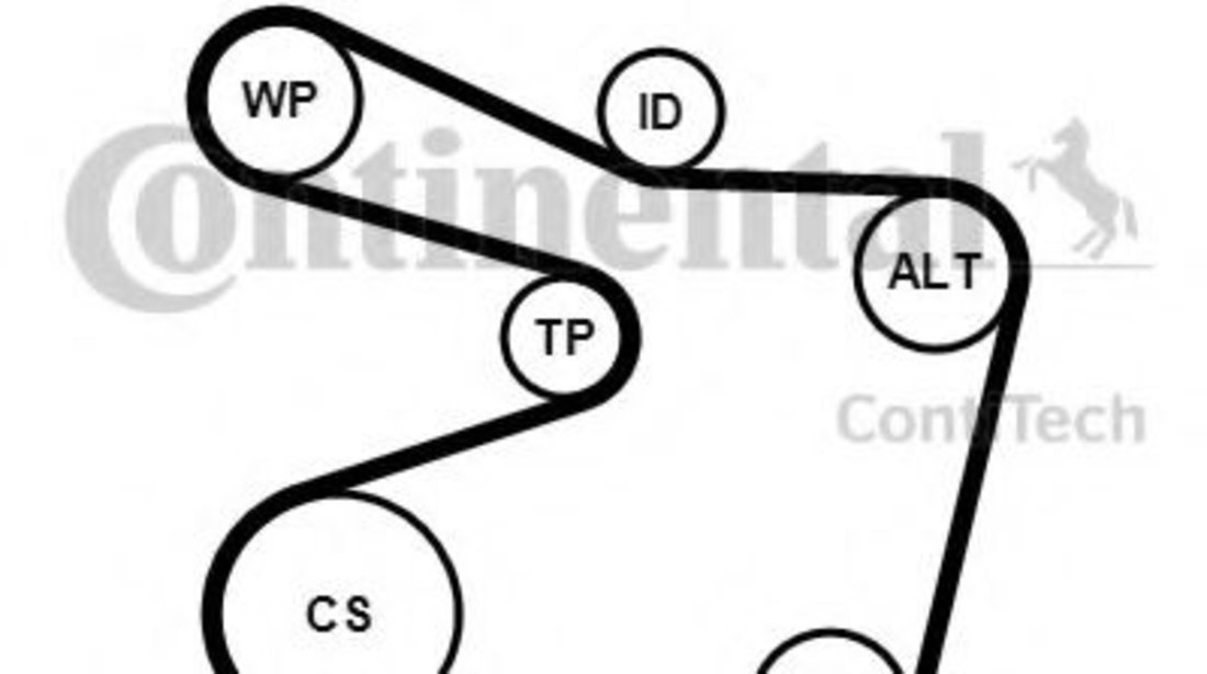 Set curea transmisie cu caneluri BMW Seria 7 (E38) (1994 - 2001) CONTITECH 6PK1555K1 piesa NOUA