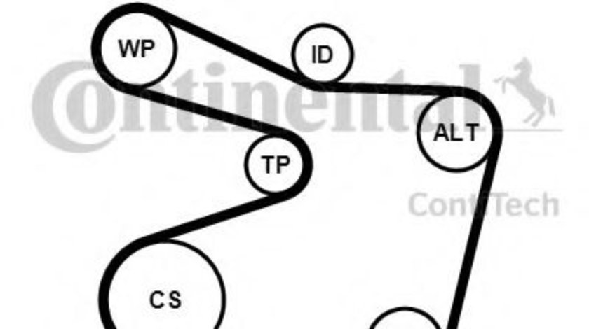 Set curea transmisie cu caneluri BMW Seria 7 (E38) (1994 - 2001) CONTITECH 6PK1555K1 piesa NOUA