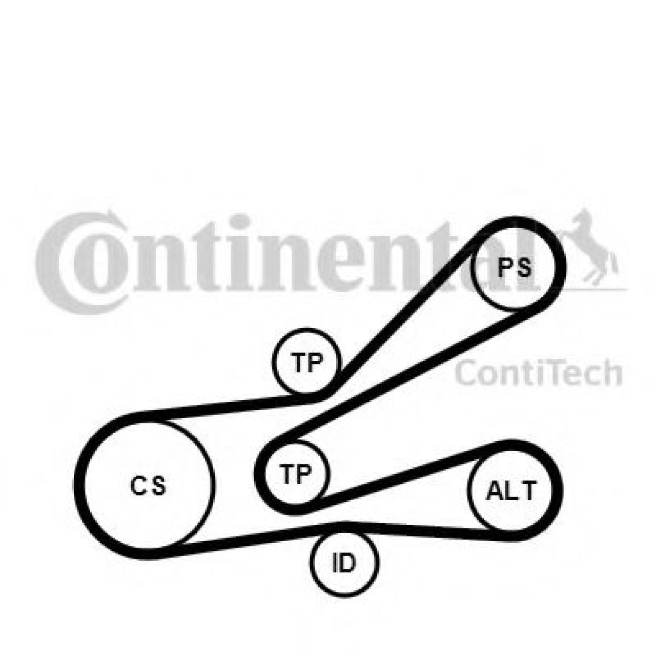 Set curea transmisie cu caneluri CITROEN BERLINGO caroserie (M) (1996 - 2016) CONTITECH 6PK1045K3 piesa NOUA
