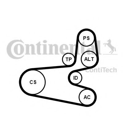 Set curea transmisie cu caneluri CITROEN BERLINGO (MF) (1996 - 2016) CONTITECH 6PK1560K1 piesa NOUA
