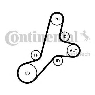 Set curea transmisie cu caneluri CITROEN BERLINGO caroserie (M) (1996 - 2016) CONTITECH 6PK1345K1 pi...