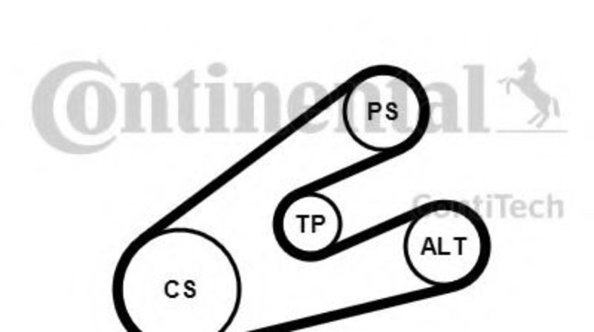 Set curea transmisie cu caneluri CITROEN BERLINGO caroserie (M) (1996 - 2016) CONTITECH 6PK1453K1 piesa NOUA