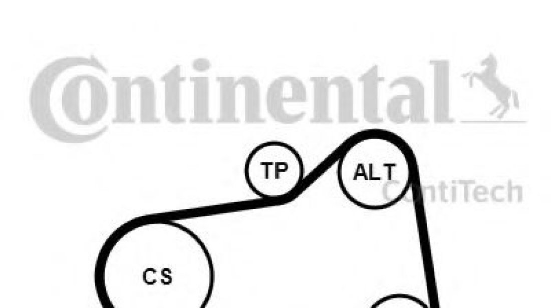 Set curea transmisie cu caneluri CITROEN C3 II (2009 - 2016) CONTITECH 6PK905 EXTRA K1 piesa NOUA