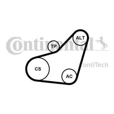 Set curea transmisie cu caneluri CITROEN C4 I (LC) (2004 - 2011) CONTITECH 6PK800K1 piesa NOUA