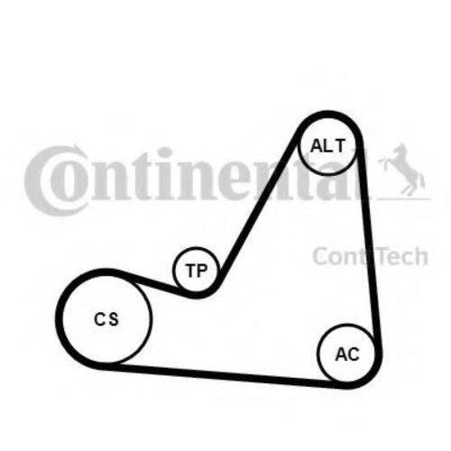 Set curea transmisie cu caneluri CITROEN C4 Limuzina (2006 - 2016) CONTITECH 6PK1070K3 piesa NOUA