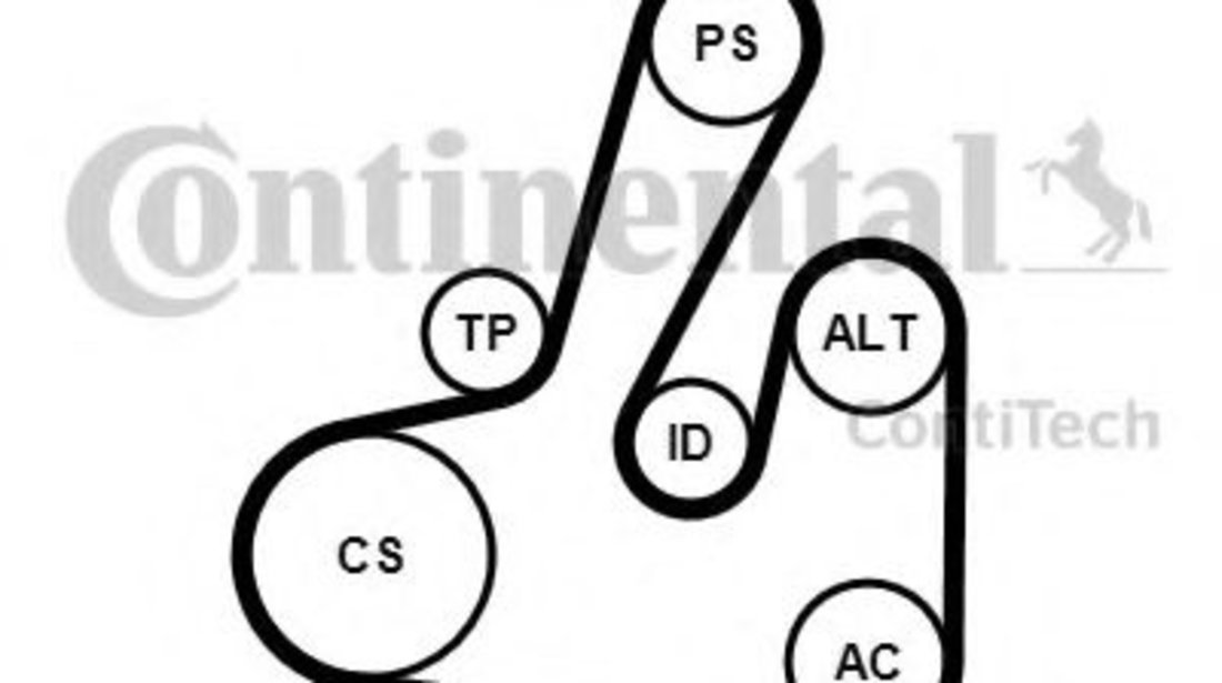 Set curea transmisie cu caneluri CITROEN C5 II (RC) (2004 - 2016) CONTITECH 6PK1705K2 piesa NOUA