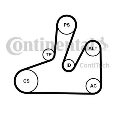 Set curea transmisie cu caneluri CITROEN C5 II Break (RE) (2004 - 2016) CONTITECH 6PK1740K4 piesa NO...