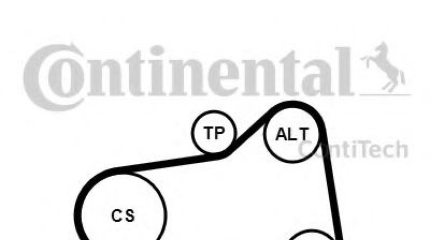 Set curea transmisie cu caneluri CITROEN C5 III Break (TD) (2008 - 2016) CONTITECH 6PK905 EXTRA K1 piesa NOUA